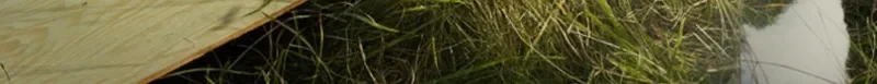 Mehrzweck-Schafschere aus Metall, professionelle manuelle Hundepflege, Trimmen, Handschere, scharfe Handwerkzeuge für die Arbeit – Detail 2