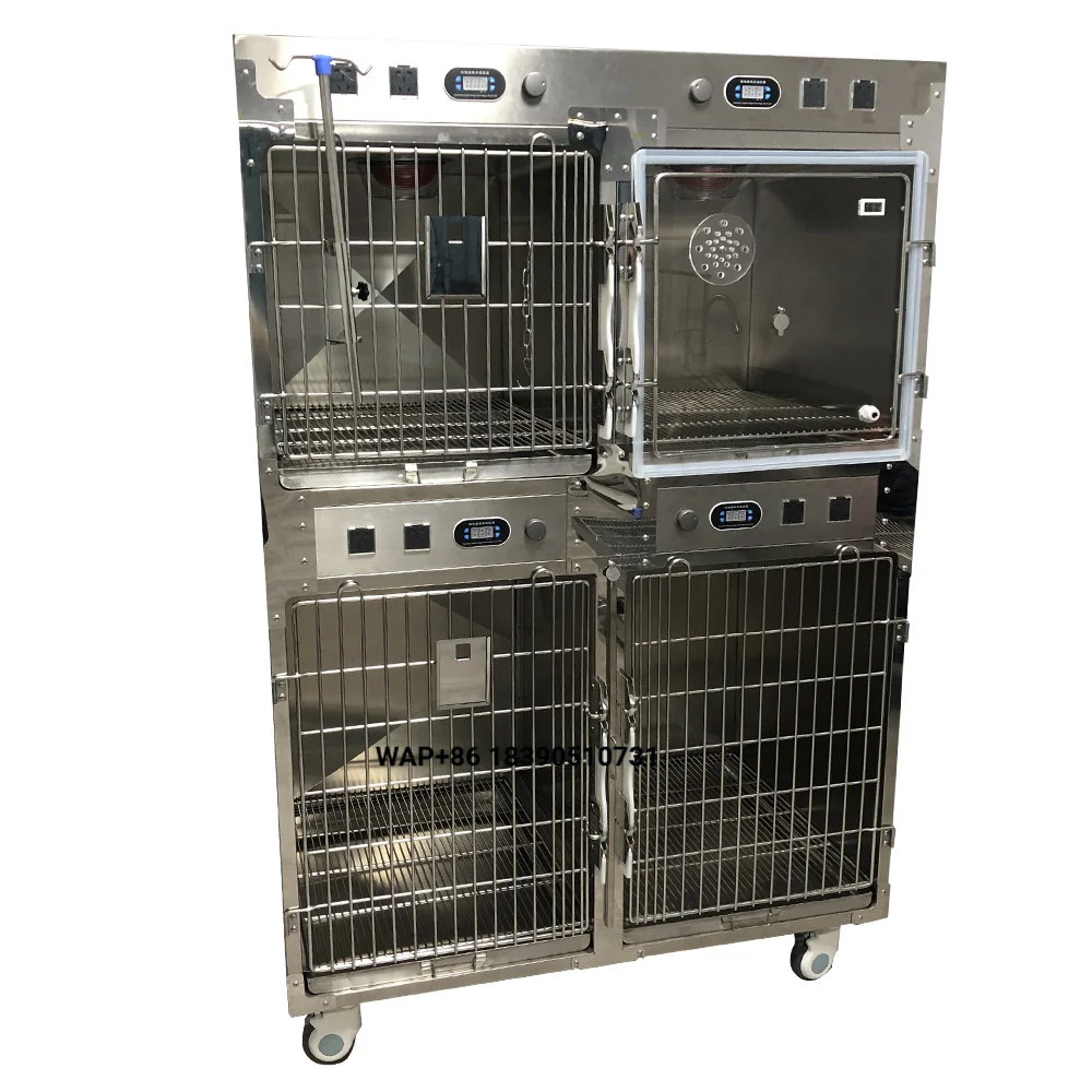 Professional Stainless Steel Veterinary Equipment Multifunctional Veterinary Equipment Oxygen Therapy Cage