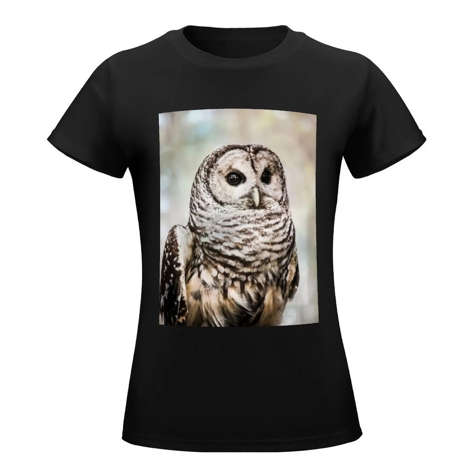 Barred Owl T-Shirt cute clothes anime clothes Female clothing aesthetic clothes plain t shirts for Women