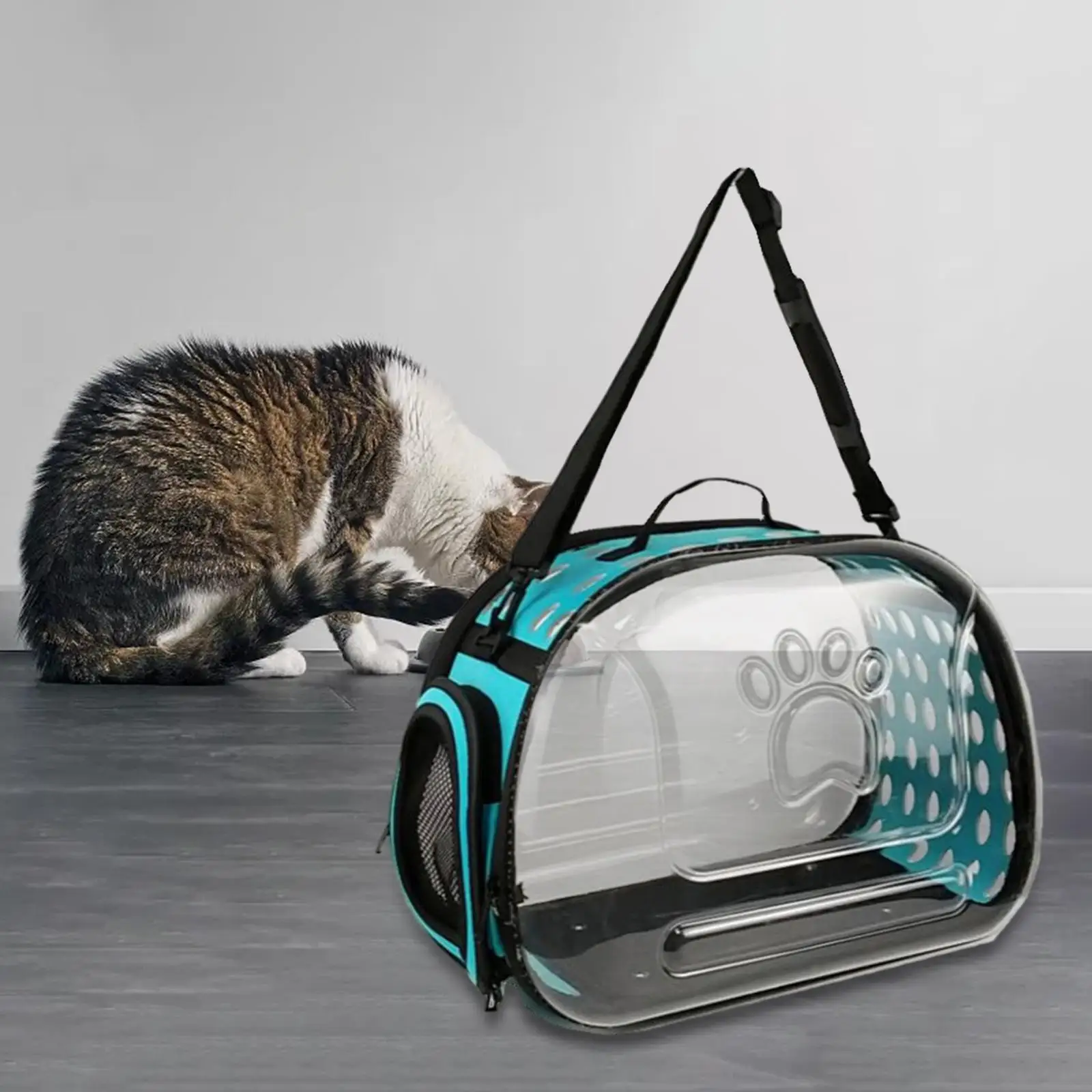 Transparente Dobrável Pet Carrier Bag, Crossbody, respirável, dobrável, viagens, ao ar livre, cão, gato