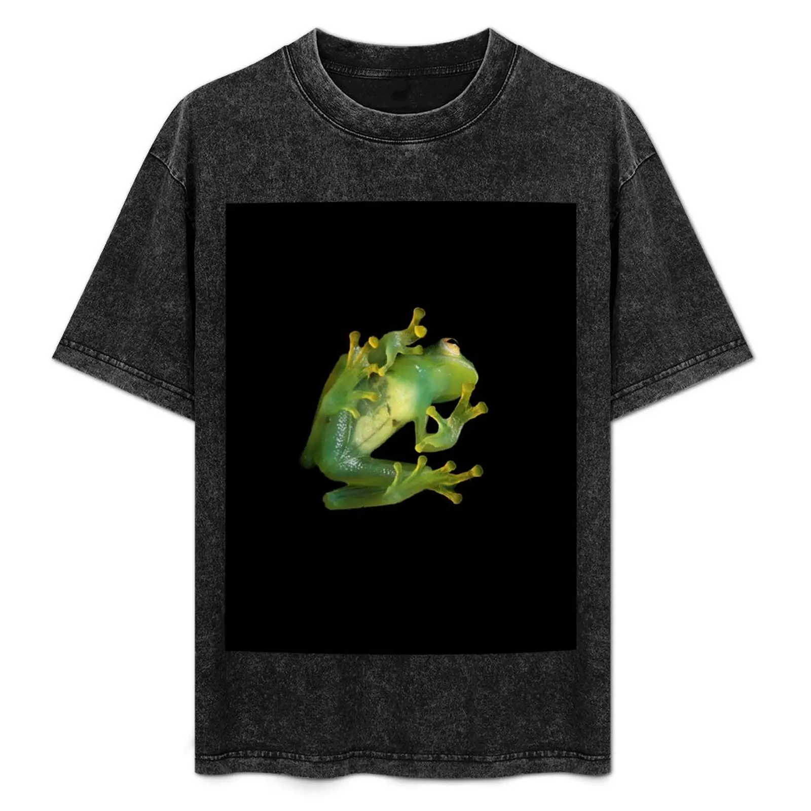 

See Through Glass Frog T-Shirt Stylish Graphic Short Sleeve Top