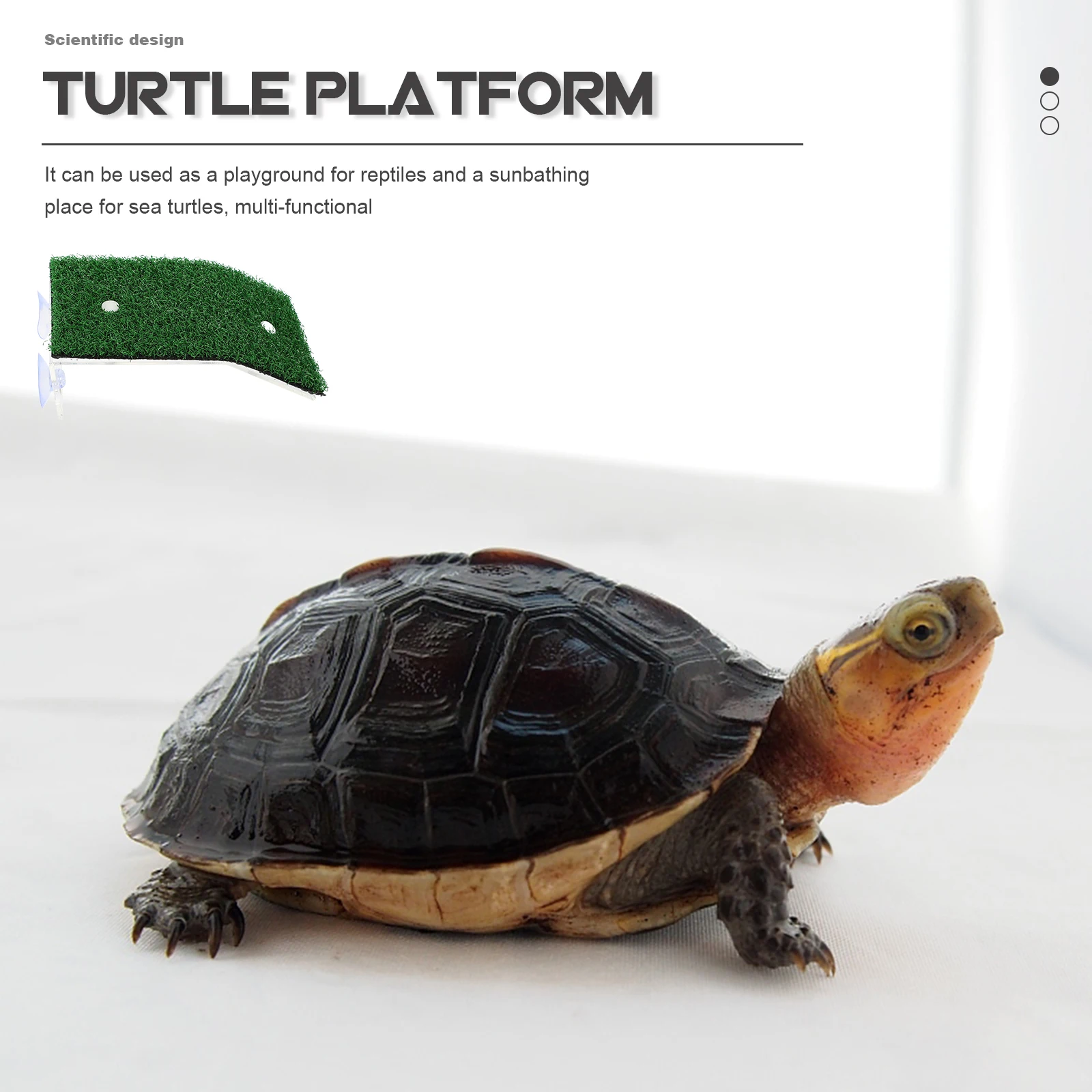 

2Pcs Turtle Acrylic Platform Durable Wear-Resistant Removable Basking Dock Aquarium Climbing Ramp Turtle Ramp Basking Platform
