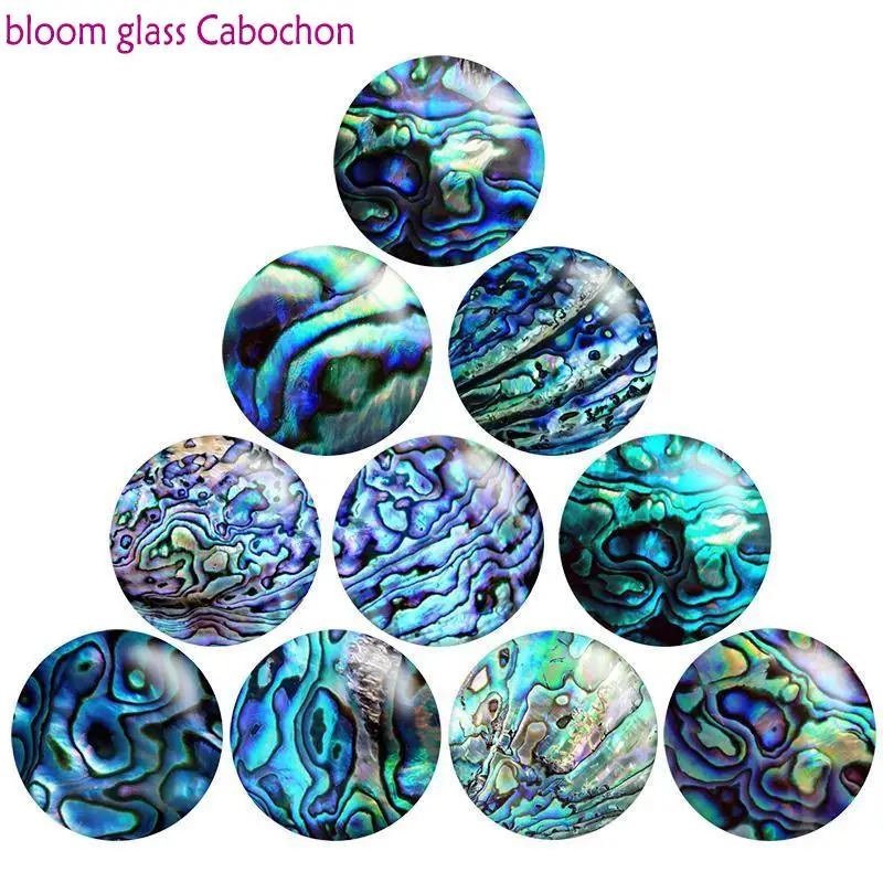 Blue Tiger Shell Pattern  Round Photo Resin Glass Cabochon   Demo Flat Back Making Findings   N4471