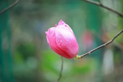 

Aluminum Rally Wheel for Tamiya TA02S Lancia TA02 TA07 TA02S TA02SW XV01 TT-02 Type-S HPI 4WD 1:10 RC Drift Racing Cars