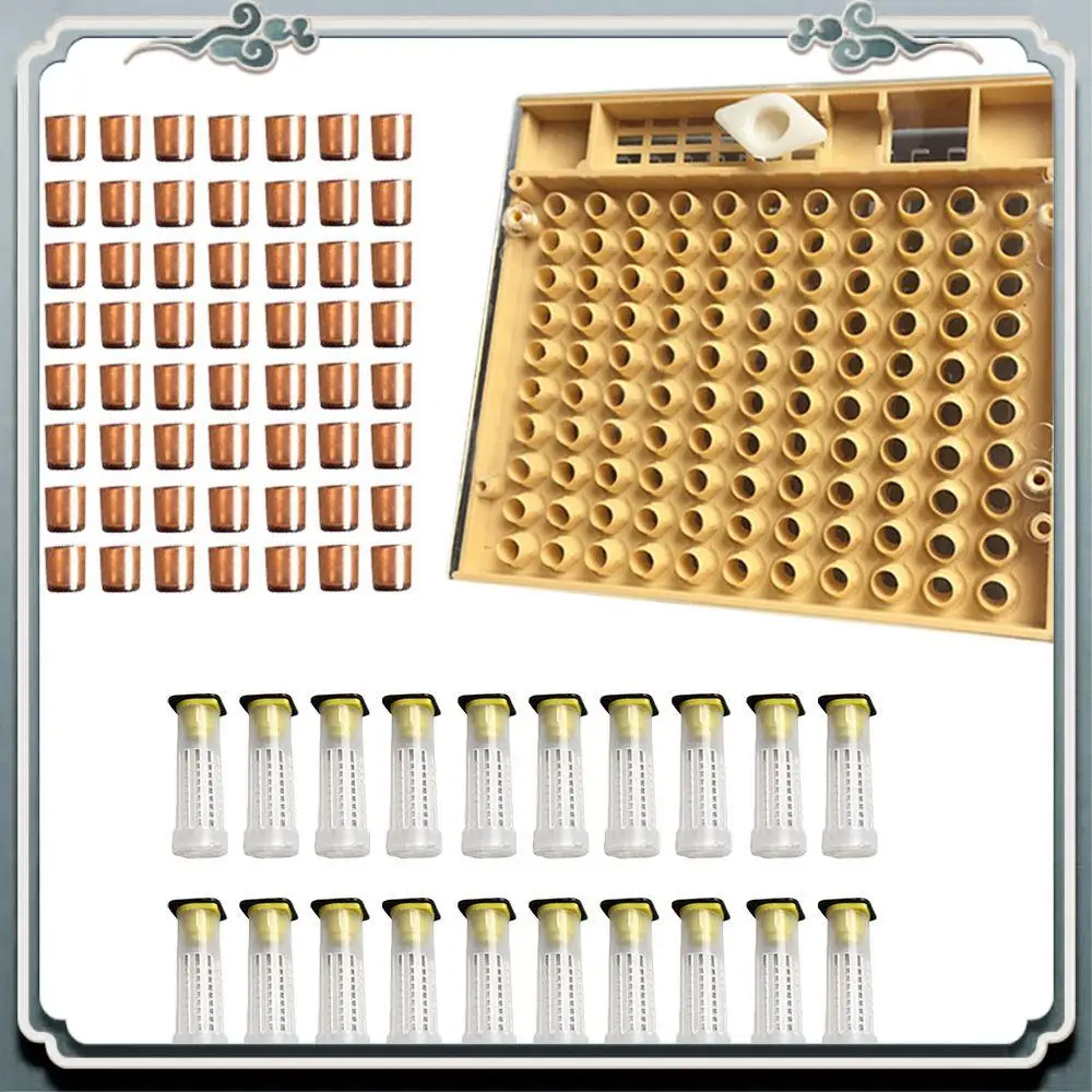 Durable Beekeeping Tools Equipment Set Queen Rearing System Cultivating Box 110Pcs Plastic Bee Cell Cups Cup Kit Queen Cage