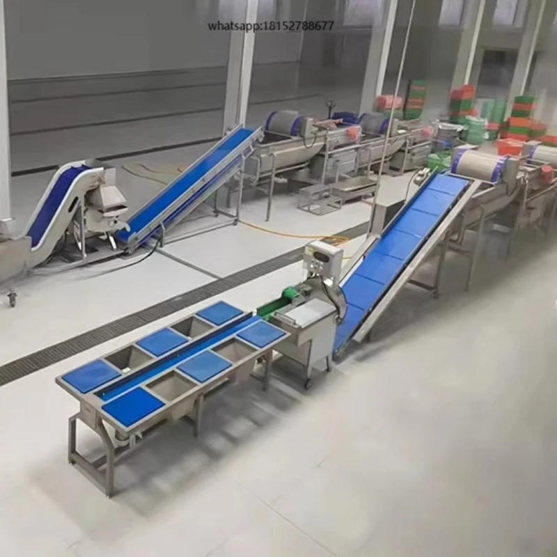 Commercial Sorting Grading Machine Avocado Tomato Mango  Potato Size Sorting Machine