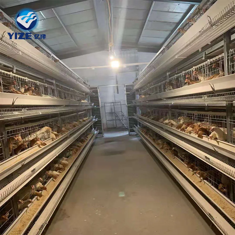 5 Tier H Type Chick… - image