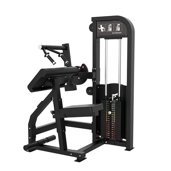 

Shizhuo Pin Loaded Gym Equipment Strength Training Machine Triceps Extension