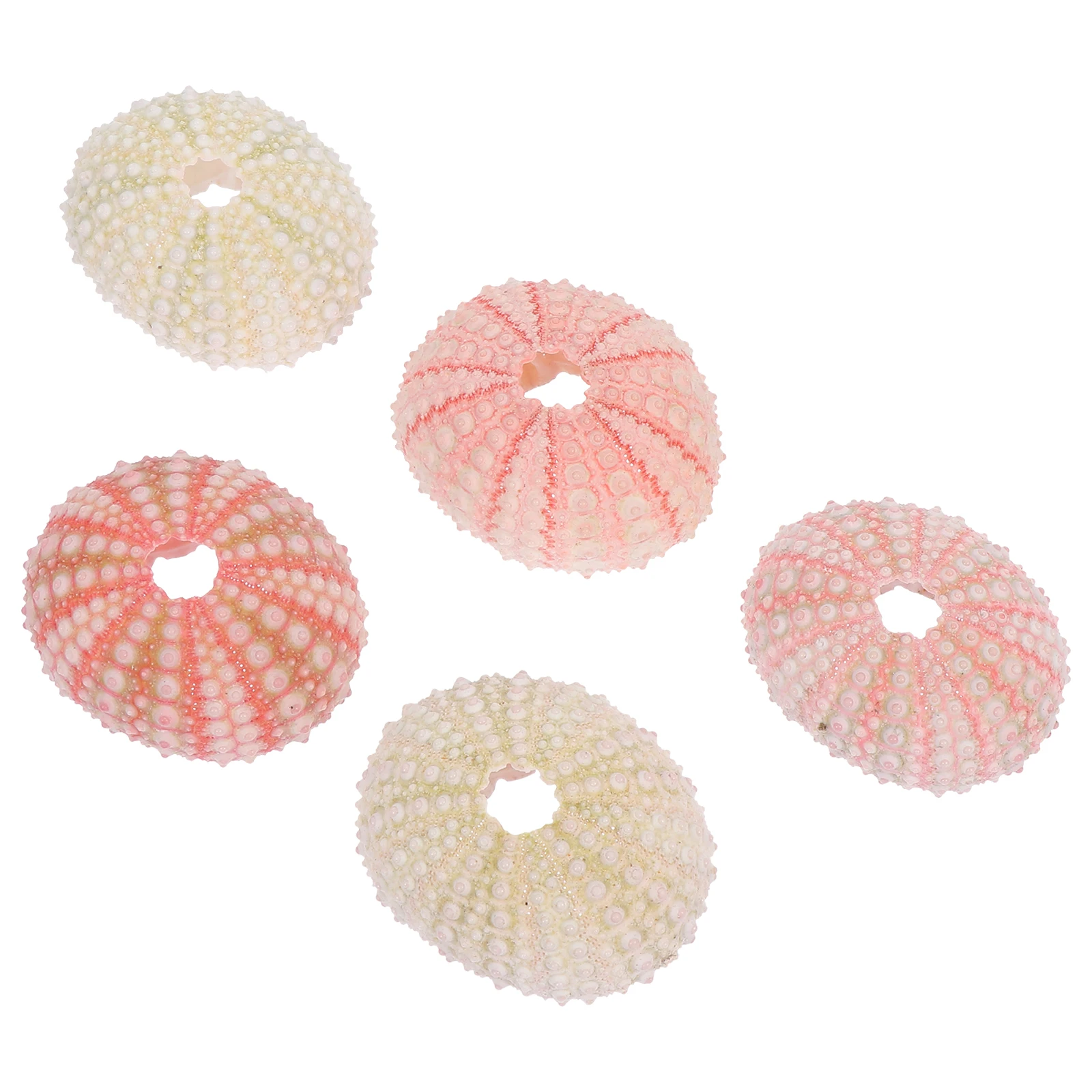 

5pcs Sea Urchin Decorations Lifelike Aquarium Ornaments Desktop Crafts Fish Tank Home Office Decor Ocean Theme Vivid Color Safe
