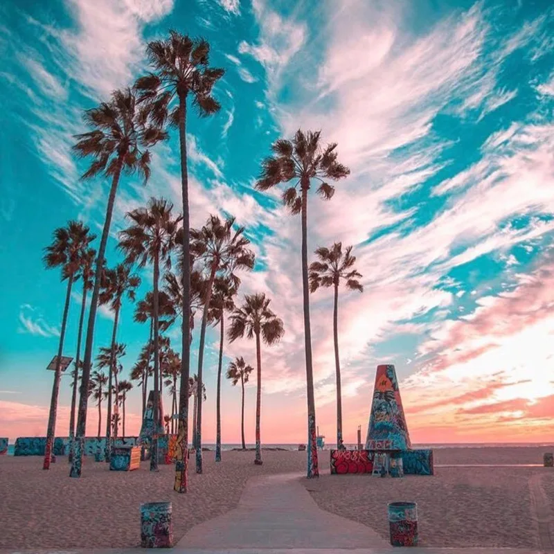 Estate sexy bikini manica lunga costumi da bagno costume da bagno femminile push up bikini set spiaggia ragazze nuoto costume da bagno donna bagnante 2025