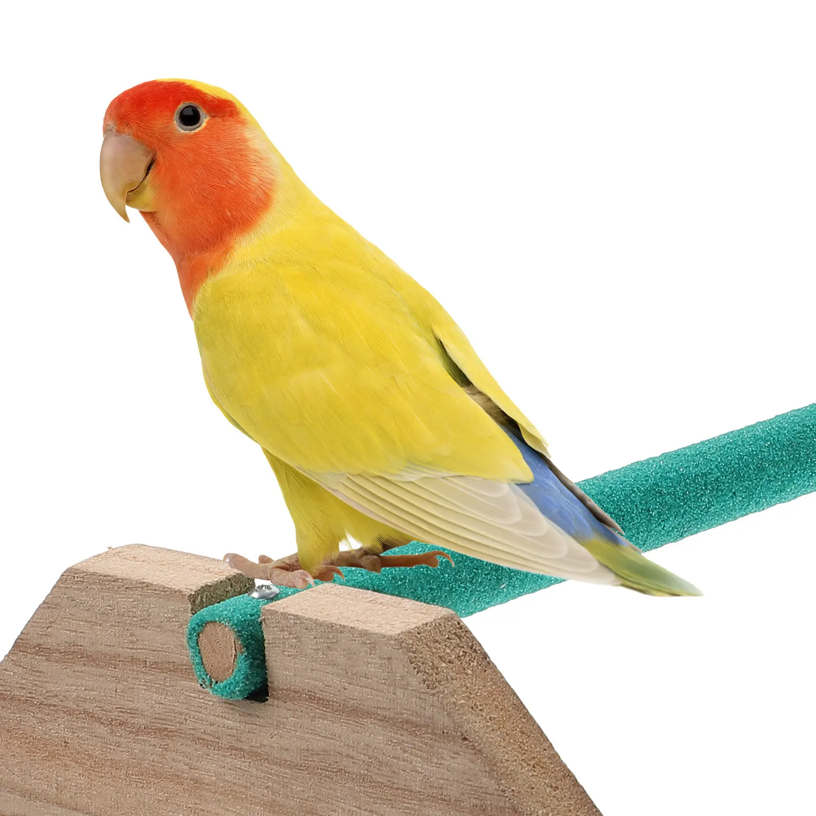 

Деревянная подставка-балансир для птиц: для попугаев, кур, петухов, маленьких домашних животных. Идеально для домашней фермы. Игровая палка-перьяшка.