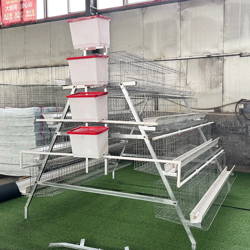 New Best Sale XINYE Hebei Poultry Layer Cages Egg Laying Hen Battery Automatic Hot Dip Galvanized Steel