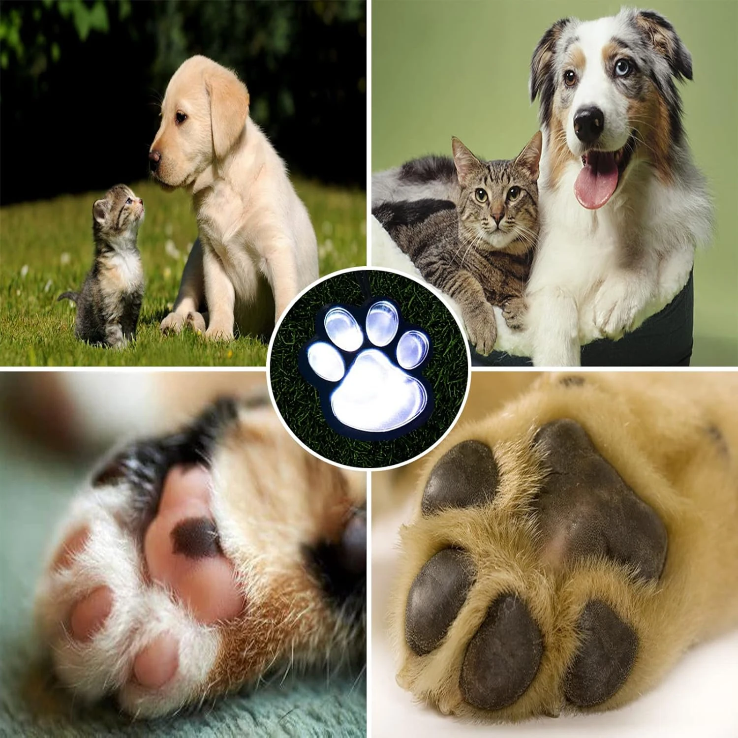 Solar Lights Outdoor Christmas Halloween Decoration Garden Courtyard Waterproof Lawn Light Solar Paw Print Lights Cat Dog Animal