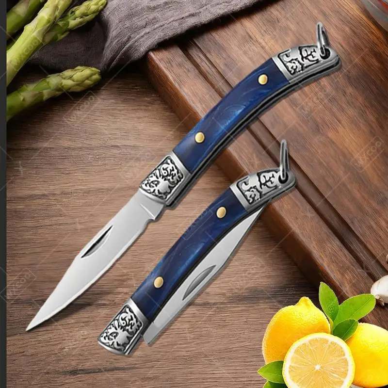 

Stainless Steel Mini Pocket Knife Fruit Paring Knife for Household Cooking with Non-slip Handle Multifunctional Folding Knife