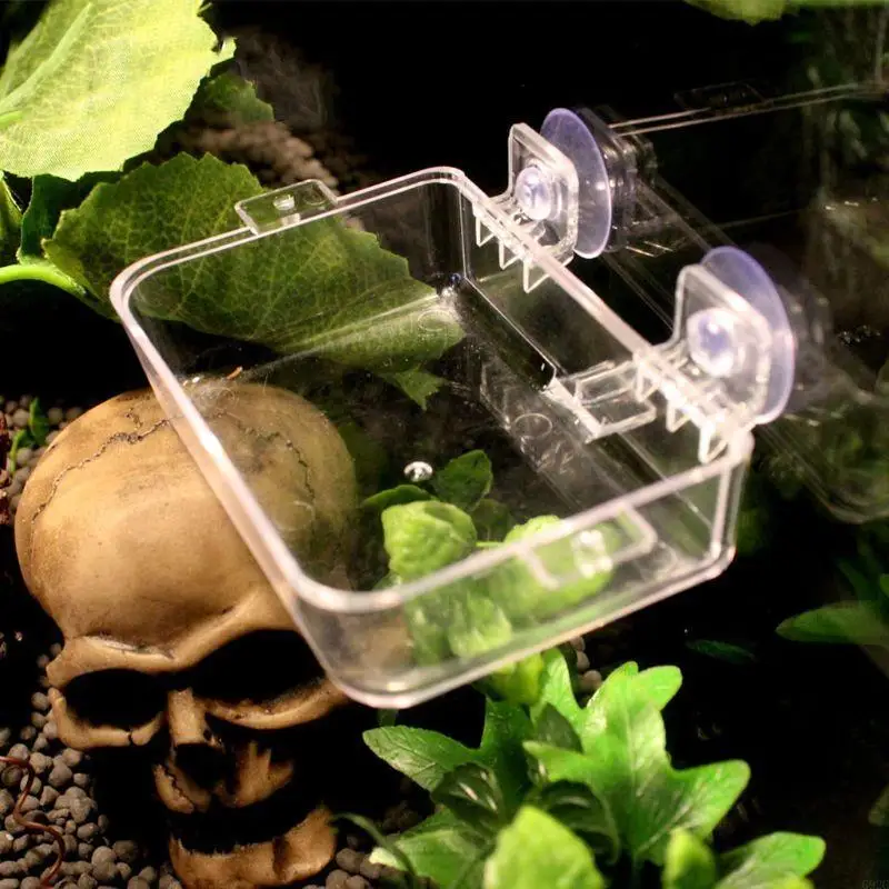 G92C Suction Cup Feeder Anti-Escape Reptiles Water Bowl Worm Live Fodder Container for Gecko Snakes Iguanas