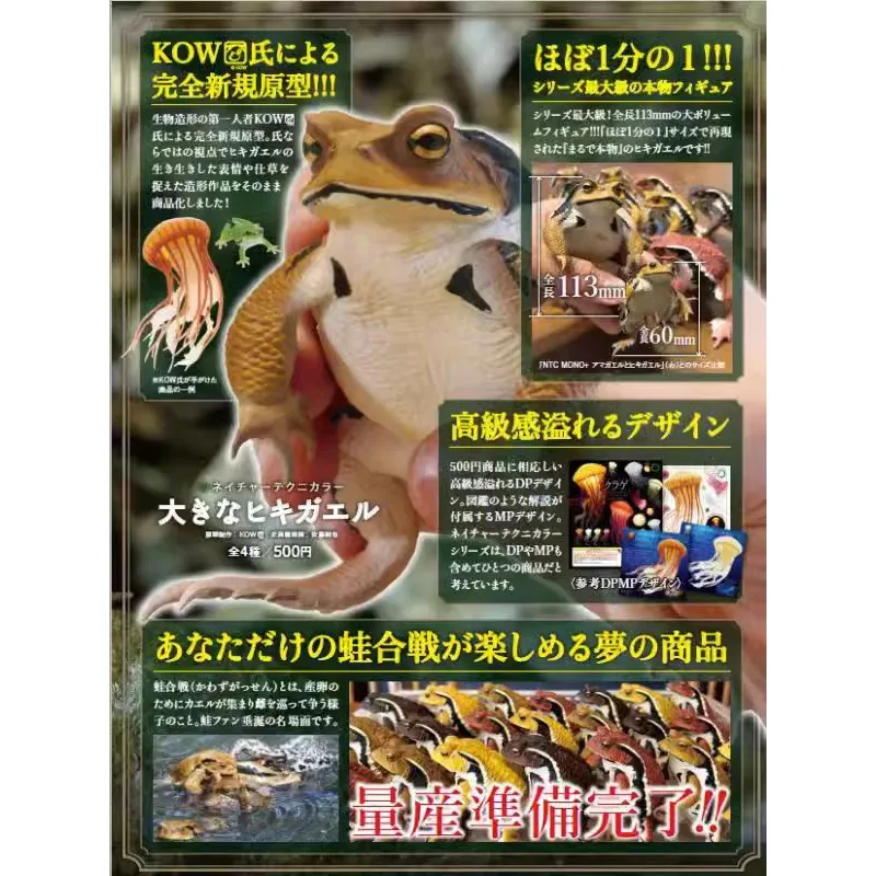 Original KITAN CLUB IKIMON Gashapon Toad Qversion Mini Animal Anime Action Figure Model Toy for Kid Gifts Collection Ornament