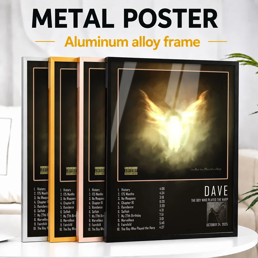 Dave The Boy Who Played Harp Album Framed Metal Print Customized Recording Tribute Wall Art Ideal For Singer Fans In Music Room