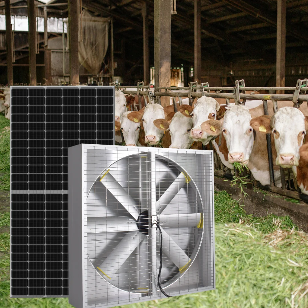 

24h 1110W Air Cooling Axial Fans Solar DC Powered Industrial HVAC System Exhaust Vents Wall Mounted Ventilation for Poultry Farm