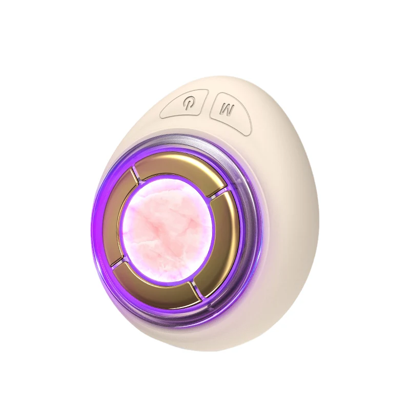 Skin Care Beauty Instrument Micro Current Vibration Light Emitting Diode Light Therapy Heated EMS Facial Massager