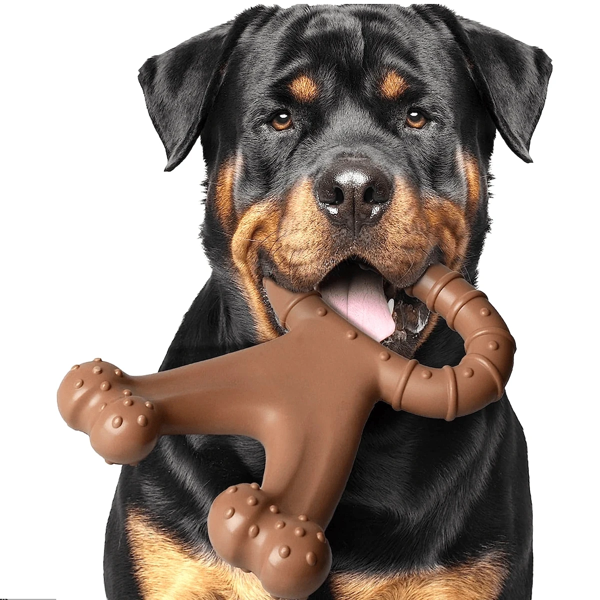 Teeth Cleaning Dog Chew Bone - 1pc Durable Bone-Shaped Interactive Dog Chew