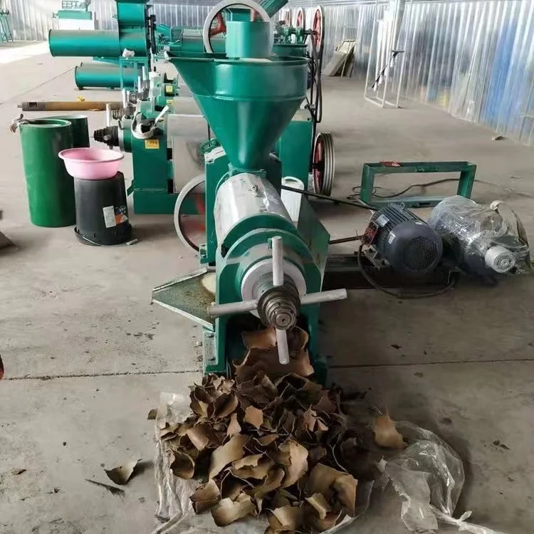 Screw Oil Presser Machine Cold Press / Walnut Oil Extraction Machine / Peanut Oil Screw Press Machine