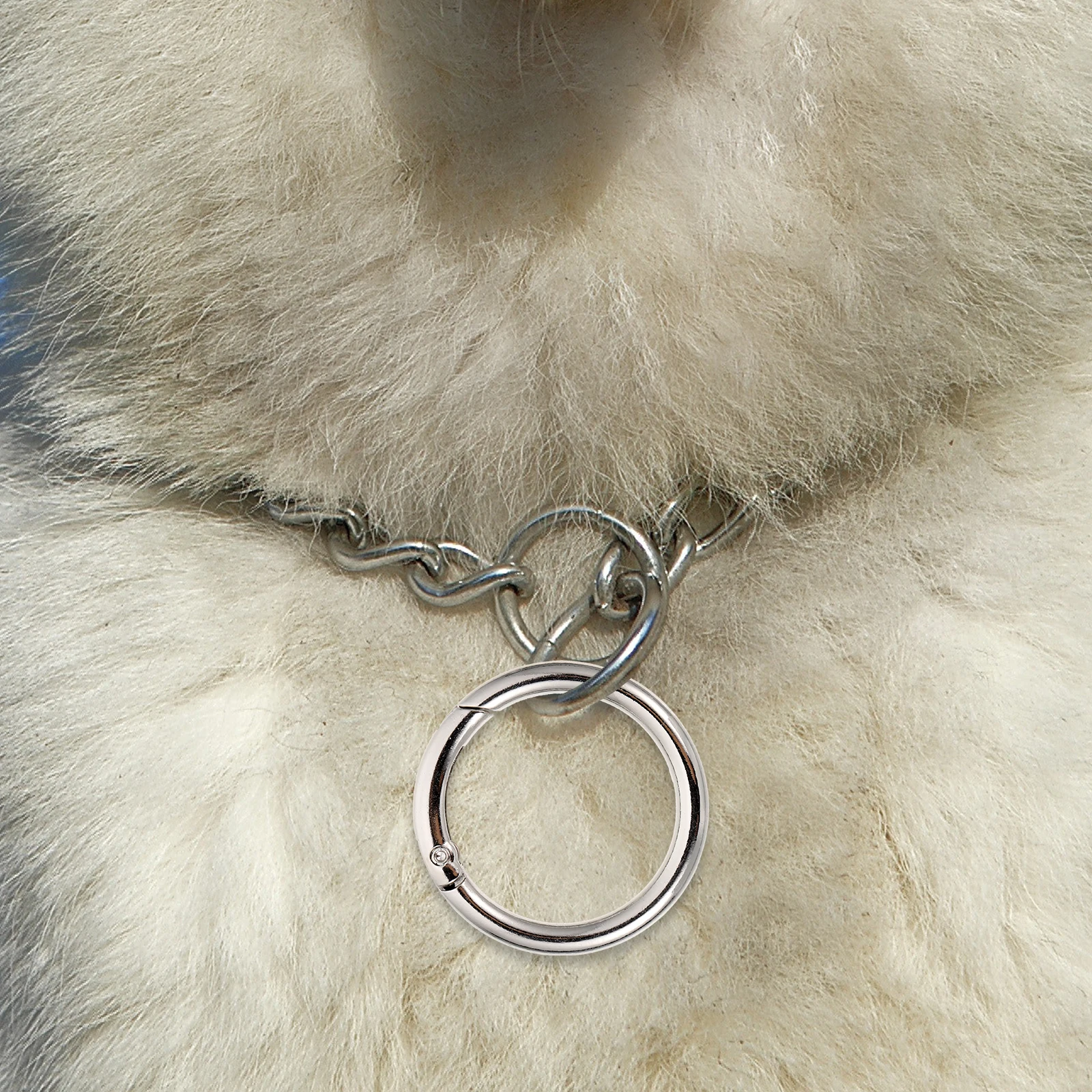 

10 Pcs Spring Buckle Keychains Flat Design Securely Closed Metal Rings Portable Key Rings Split Keyrings Jewelry Crafts