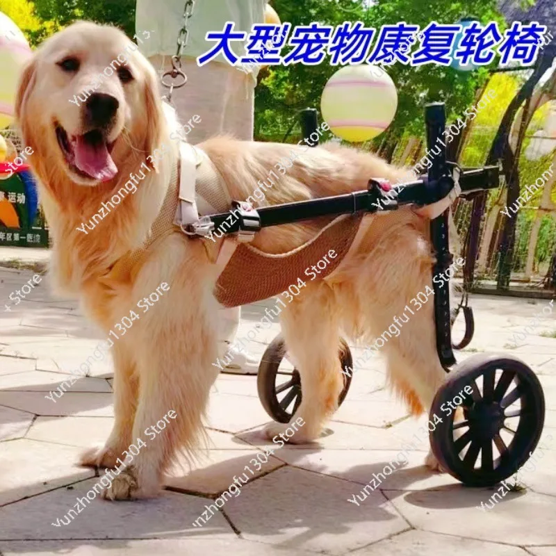 Dog wheelchair. Pet wheelchair. Car hind limbs. Dog disability training and rehabilitation scooter. Car for elderly dogs