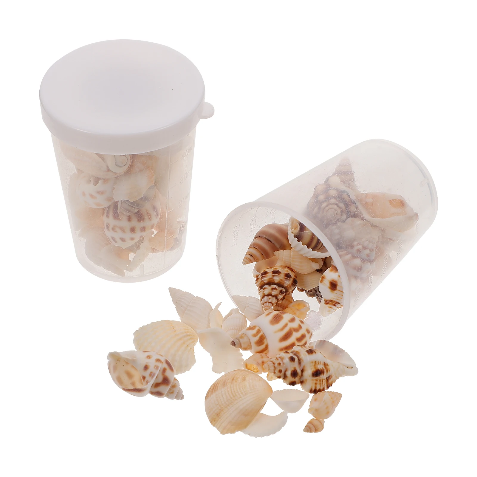 

Seashell Ornament 2 Boxes Fish Tank Decor Seashell Craft Home Decor Aquarium Landscaping Household Pet Supplies