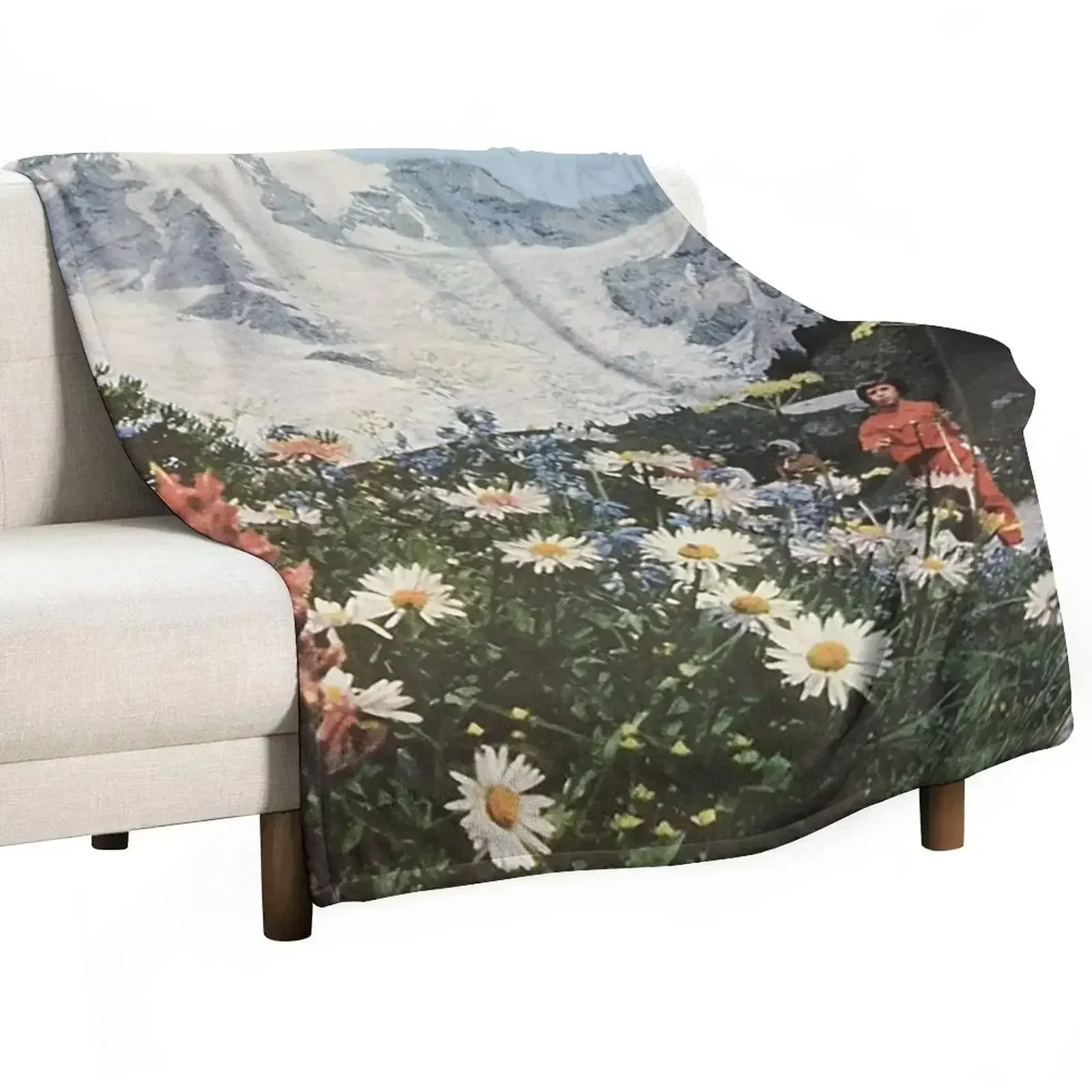 their satanic majesties second request Throw Blanket Fuzzy Plush Throw Blanket for Sofa Chair