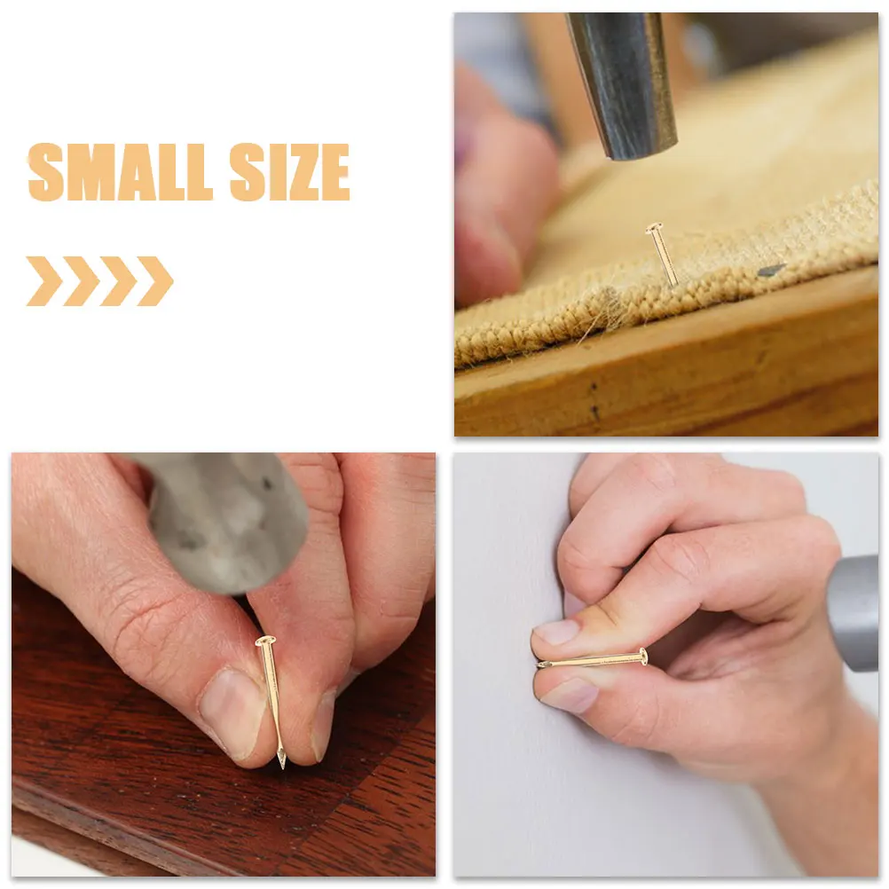 

200 Pcs Copper Nails Round Head Furniture Accessories Golden Fixing Decorative Thumbtack Hanging Picture Nail for Home DIY