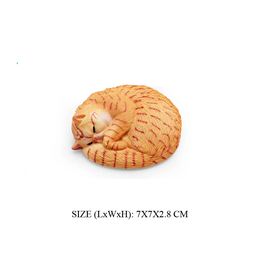 Cat -40