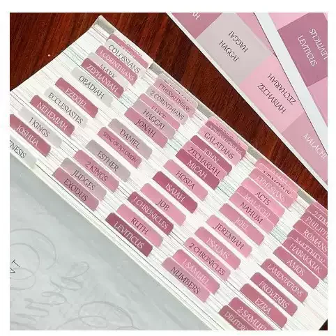 Bible Index Label Morandi Color, Bible Index Label Stickers, Book Separation Stickers