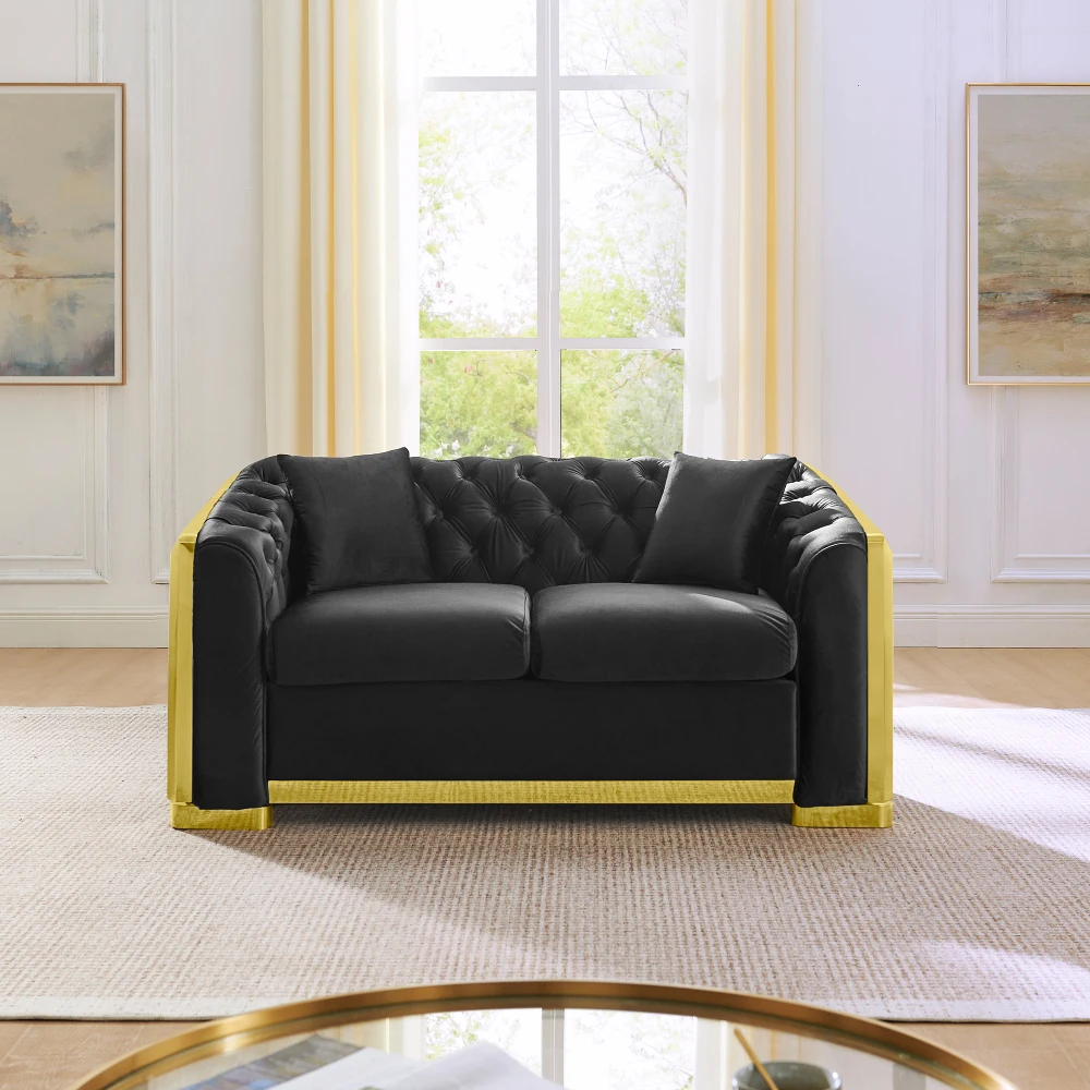 Minimalist Grand Elegant Light Luxury 2-Seater Velvet Sofa, Gold Steel Decor, 2 Pillows Black