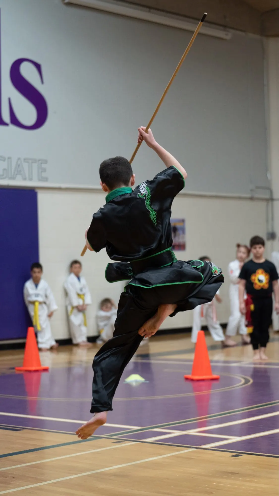 Solredo-ropa de Kung Fu chino para niños, traje tradicional de dragón Wushu, Tai Chi, uniforme de Kungfu chino para niñas y niños