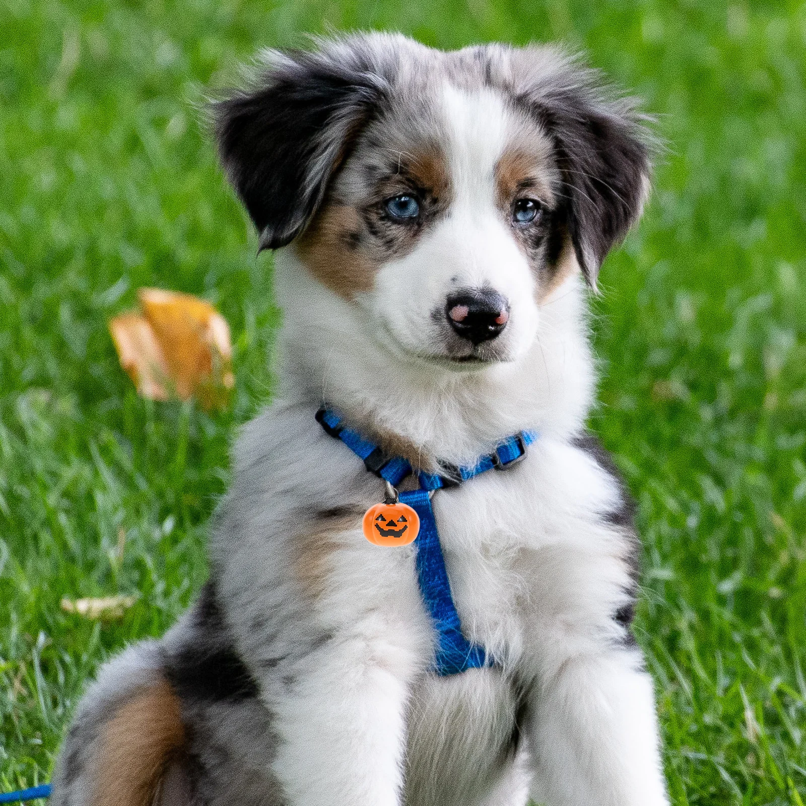

20Pcs Cartoon Pumpkin Shape Copper Pet Bells Ringing Pendant Collar Accessories Halloween Decoration Orange Pet Bells