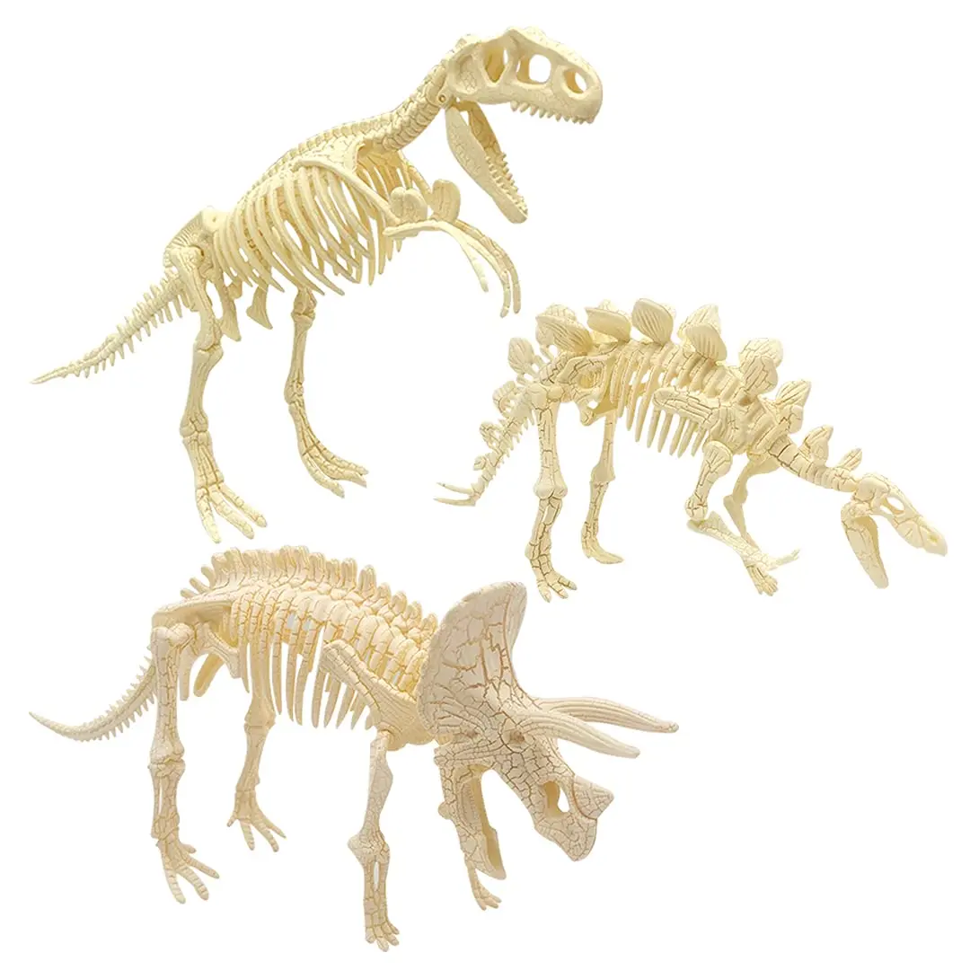 3 Pcs Dinosaur Fossil Skeleton DIY Toys 8.7 Inch Educational Puzzles Model Set for Kids Over 6 Years Old