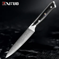 Japanese Utility Knife 5 Inch Damascus Kitchen Petty Knife VG10 67 Layer Razor Sharp Cutting Fruit Carving Chef’s Paring Knives