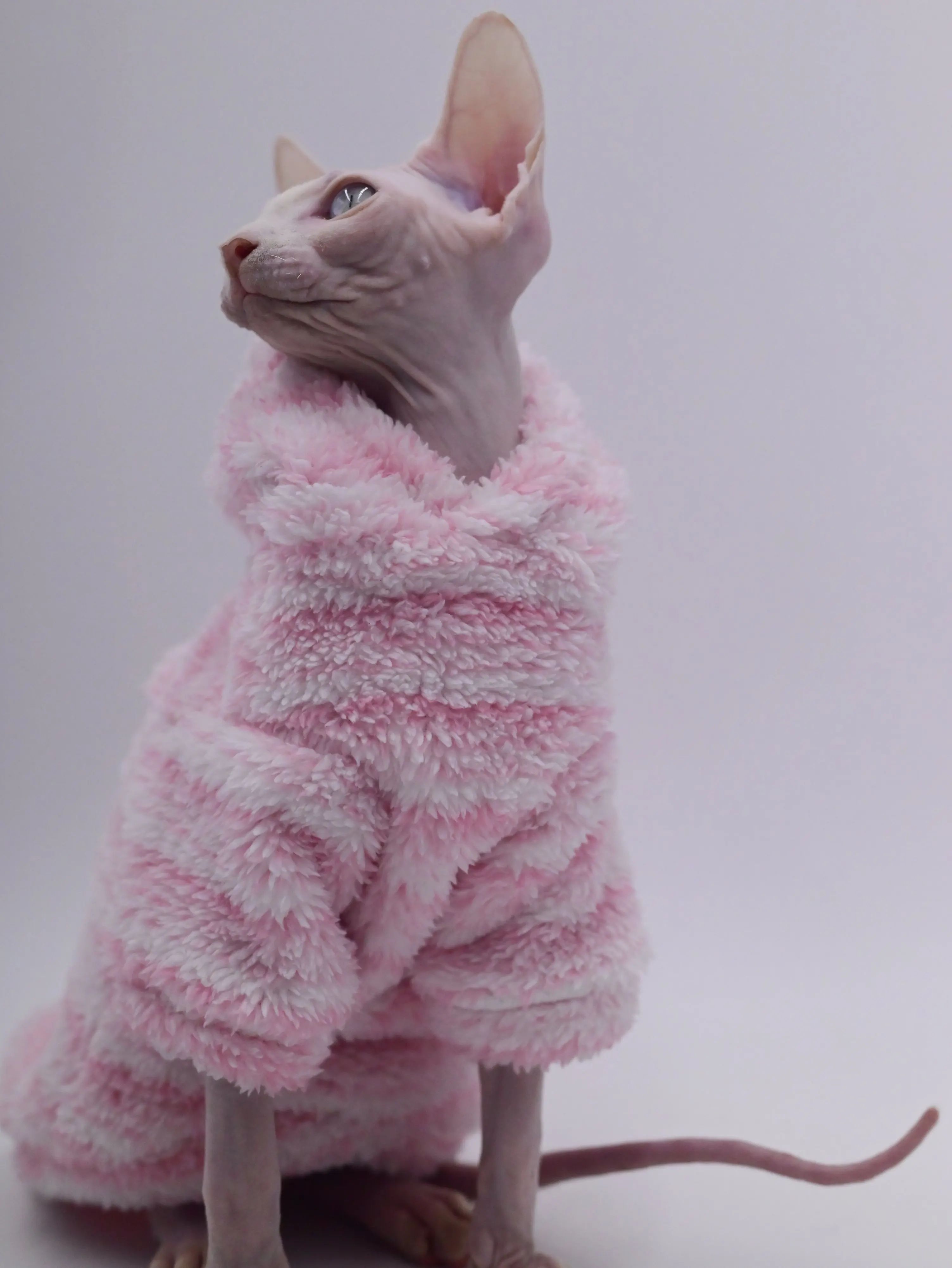 MinkFleece Pet  cardigan Autumn winter thick jacket for cat Sphinx Clothing hairless cat clothes Devon warm dresses for cats