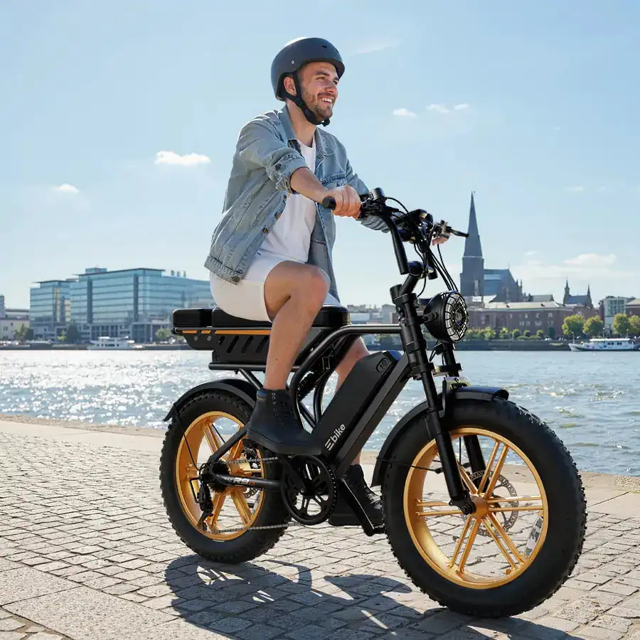 R9 Dual Battery 25AH Electric Bicycle 250W Long-Range Full Suspension Moped Style Electric Bike Electric Bike
