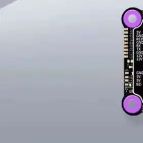 Radiolink CrossRace Flight Controller 12 APM Channels Compatible Four in One Electric Control and 2-8 Axis Multirotor