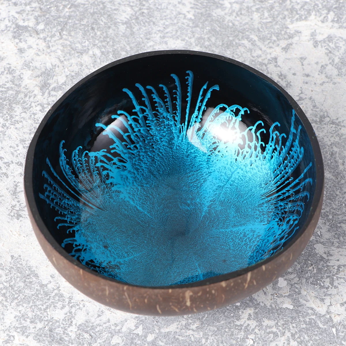 

2 PCS Coconut Bowls Shell Sweets Candy Container Nuts Holder Storage Office Classic