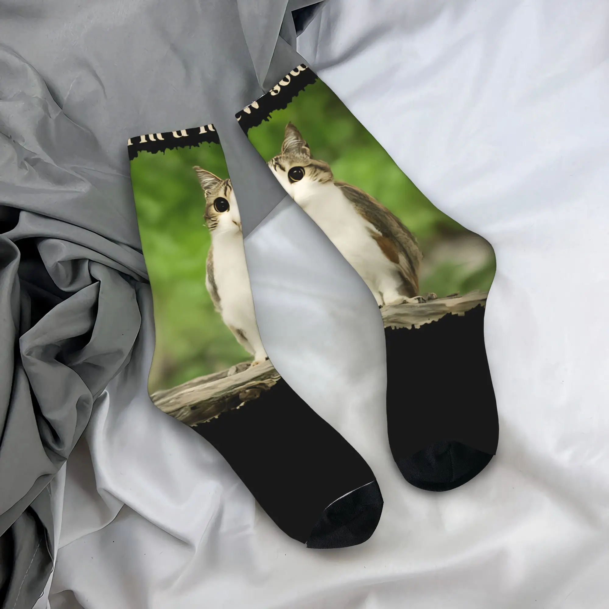 Meowl gato coruja brainrot gen meowl meias das mulheres dos homens meias engraçadas hip hop primavera verão outono inverno meio tubo meias presente