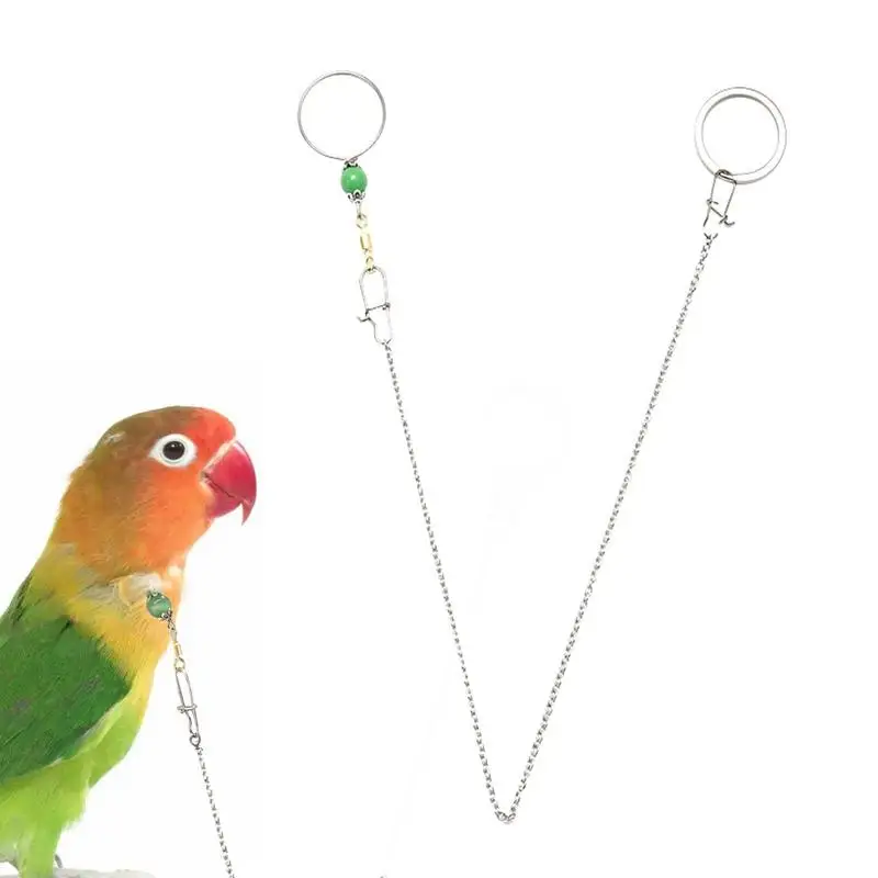 Parrot Neck Collar Bird Neck Collar Stainless Safety Buckle Design Macaw Chain Leash For Training Walking With 8-character Rings