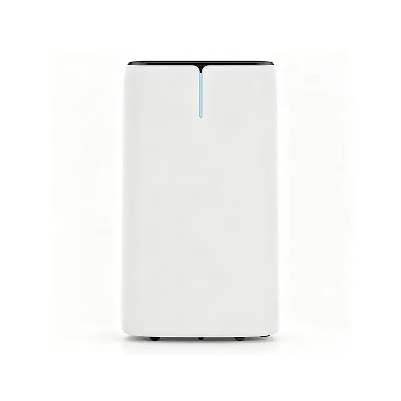 Portable Dual Purpose Air Conditioner 220-240V Smart Household Appliance Custom Color Brand OEM Design for Home Use Compact
