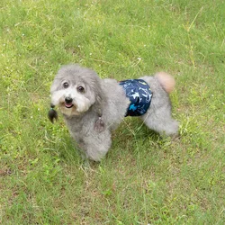Washable Pet Dog Diapers Males Absorbent Adjustable Puppy Big Dog Physiological Pants for Dogs Reusable Pets Dogs Panties Shorts