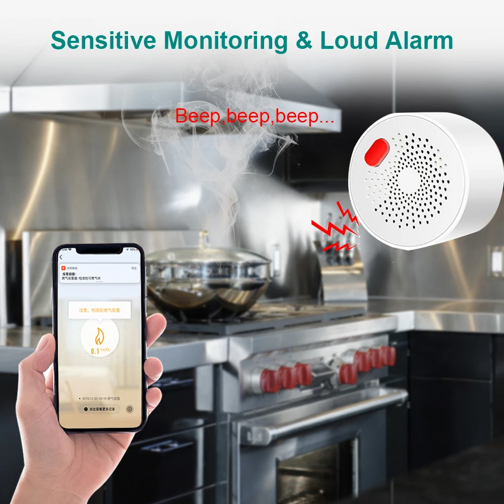 Anpviz Tuya WIFI Gas Detector Combustible Smart Home Fire Safety Protection Gas Leak Alarm Sensor Smart Life  APP Remote Control