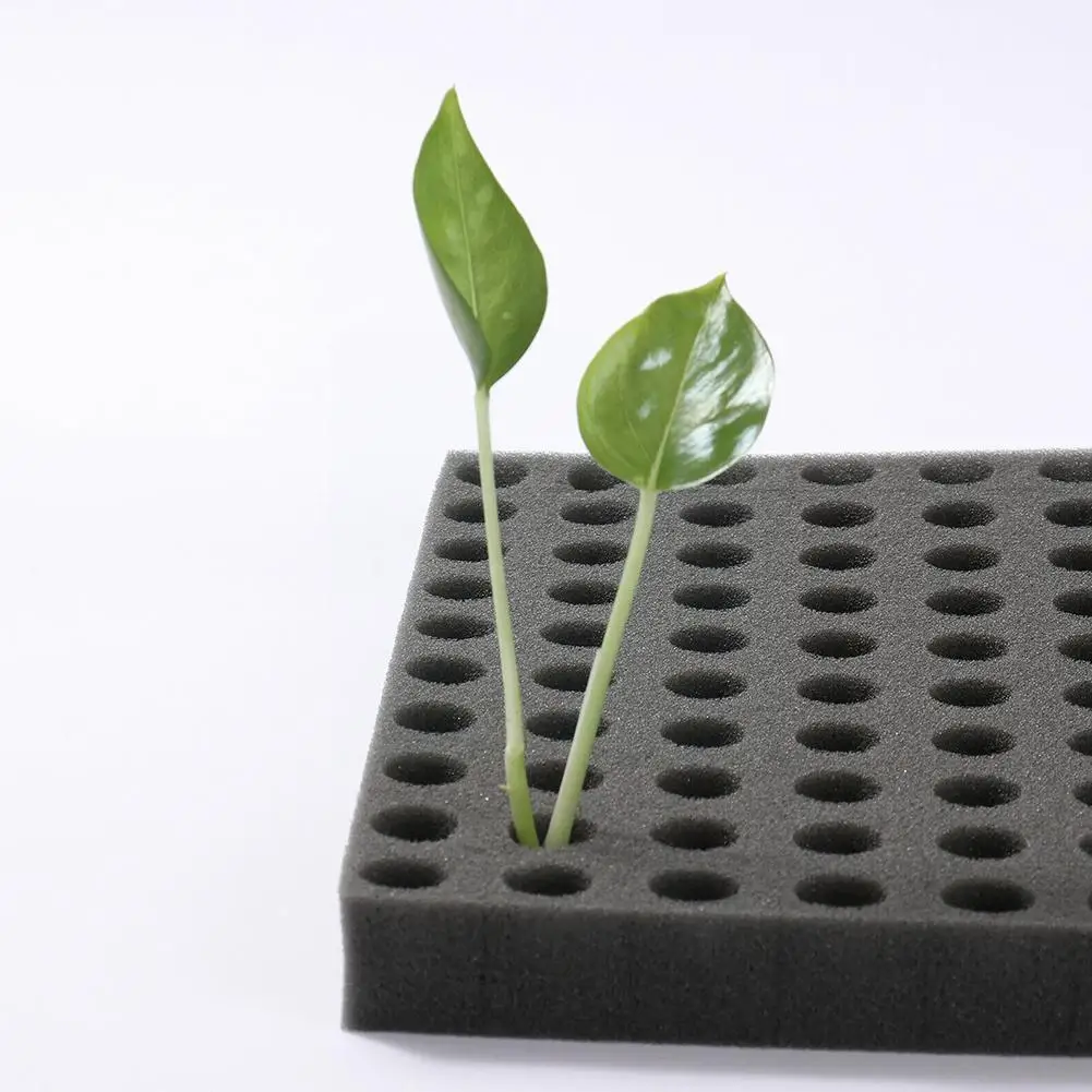 100 PCS Seedling Sponge Soilless Dirt Resistant Medium Seedling Seed Square Growth Hydroponics Cube Foam Sponge Pots trays