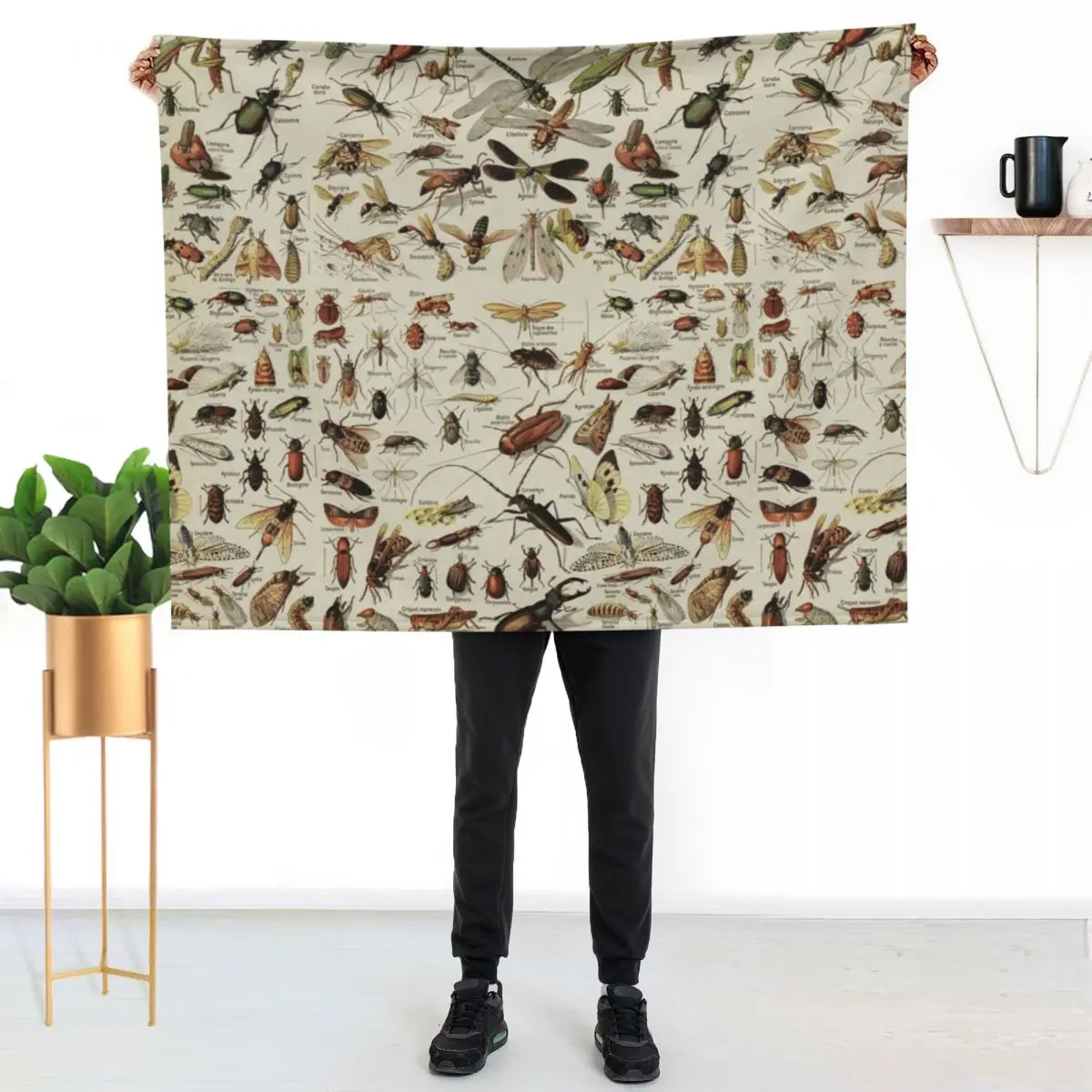 Insects Chart. Scientific Illustration, text in french Throw Blanket Quilt Thin Plaid Hairy halloween Comforter Blankets