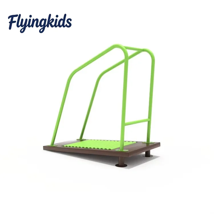 Steel Double Waist Twister Exercise Machine Outdoor Gym Fitness Equipment
