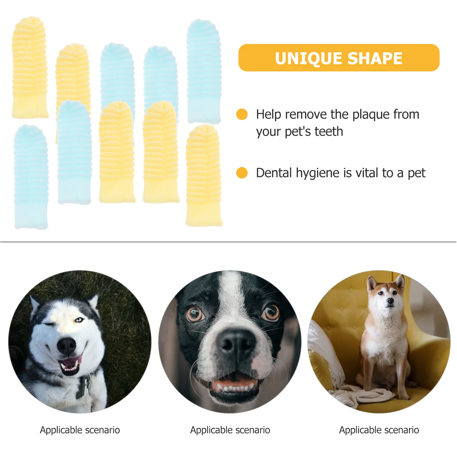 

10 Pcs Soft Bristles Toothbrush Pet Toothbrush Gloves Toothbrushes Puppy and Toothpaste Finger Dog for Small Dogs Breed Cat